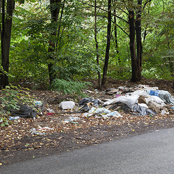 Illegal Dumping and Volunteer Cleanups